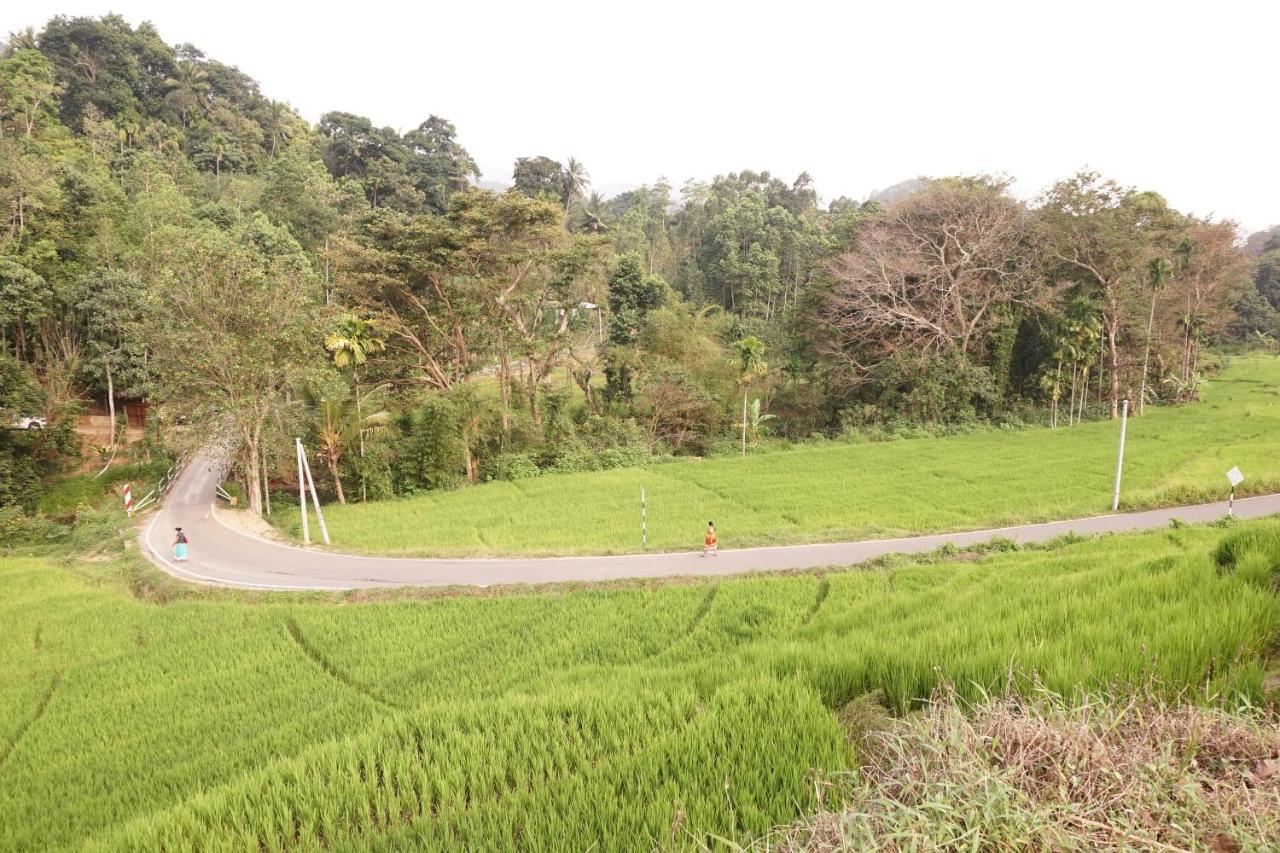 Retiyagama Eco Resort Teldeniya 外观 照片