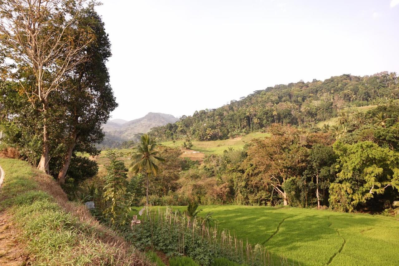 Retiyagama Eco Resort Teldeniya 外观 照片