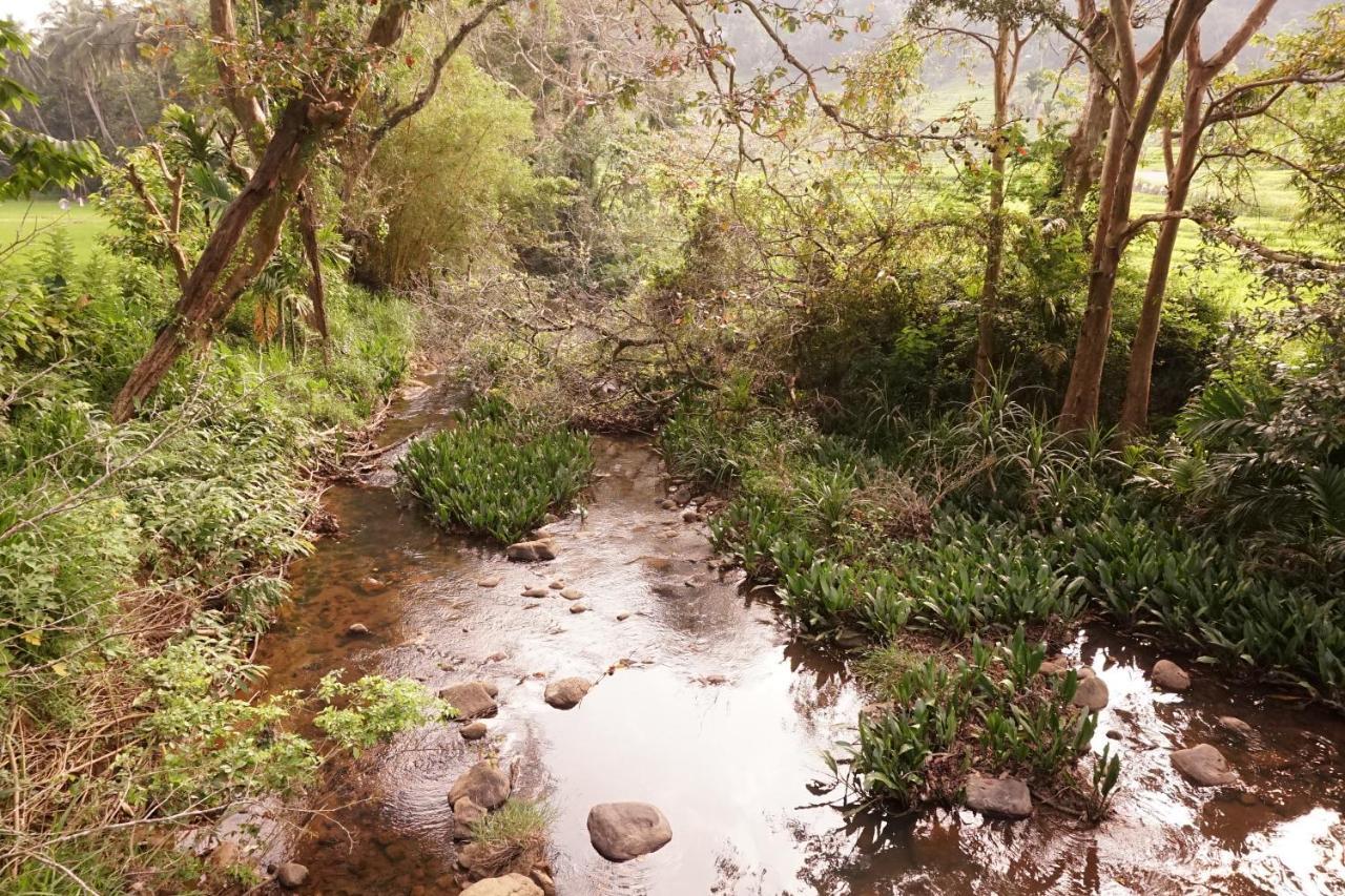 Retiyagama Eco Resort Teldeniya 外观 照片